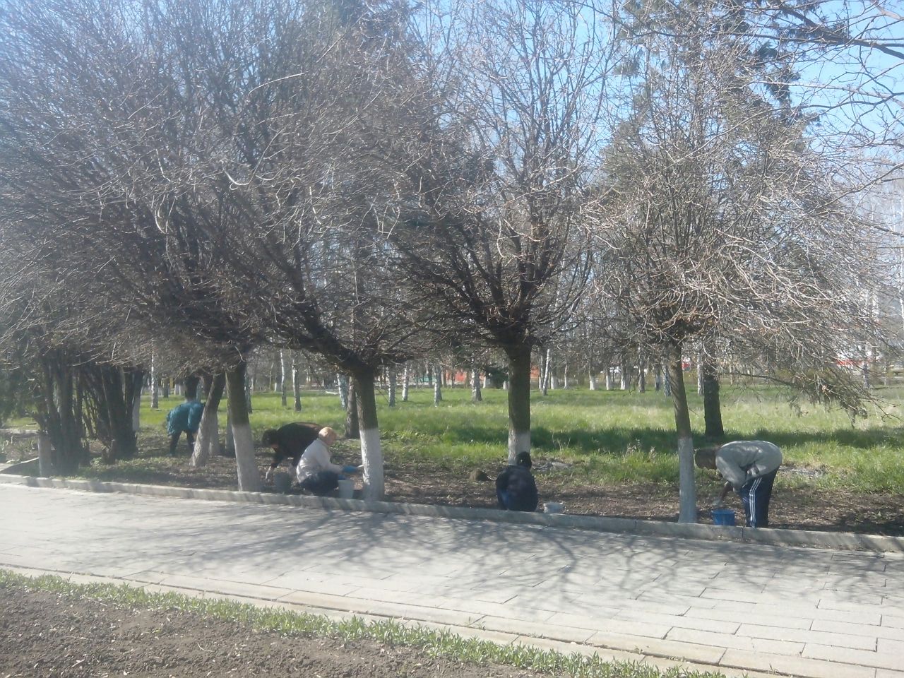 Санитарный день в станице Привольной